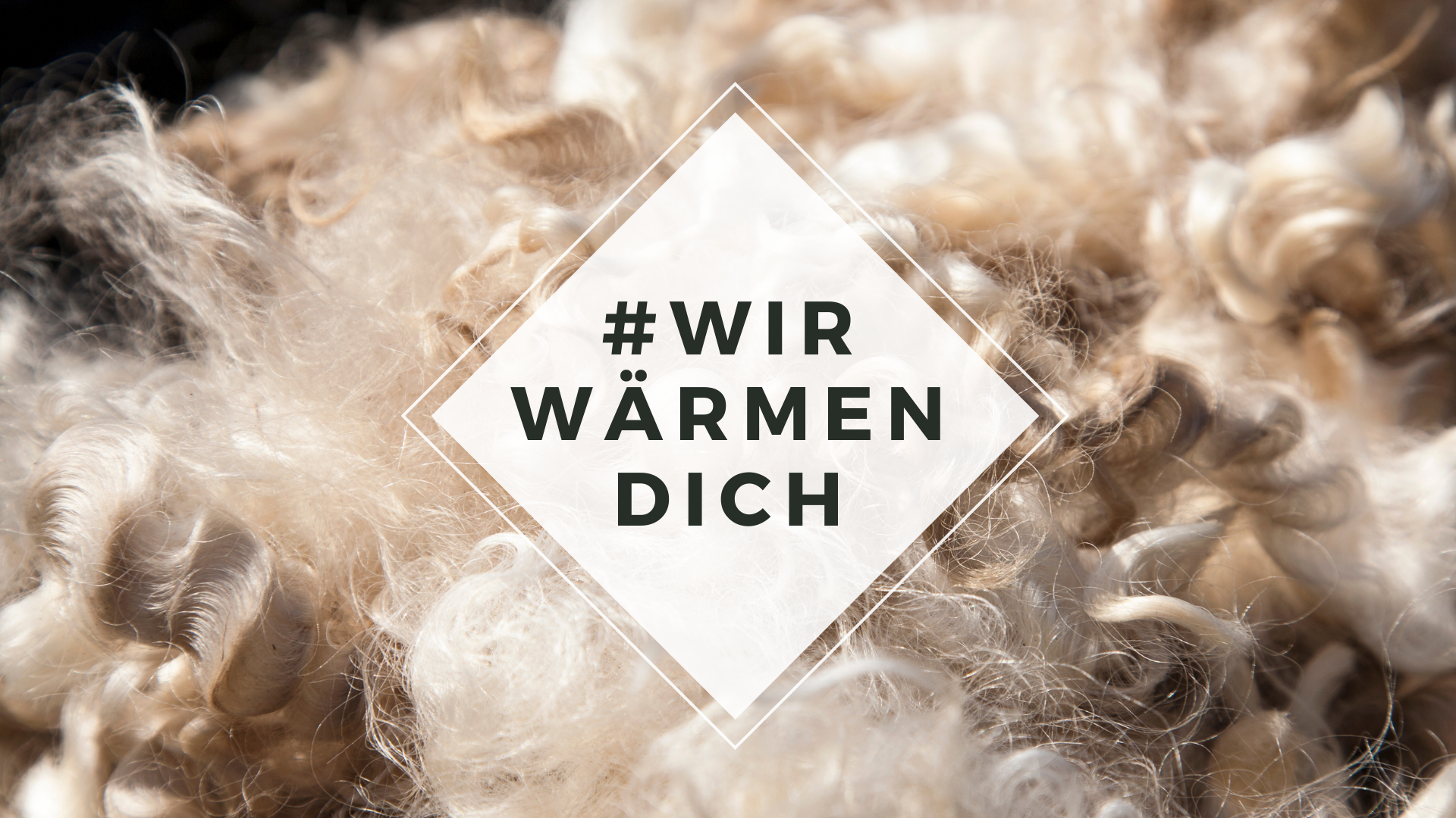 Echte Schafwollprodukte aus Österreich - Wir wärmen Dich