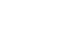 Bergschaf Online Shop Logo